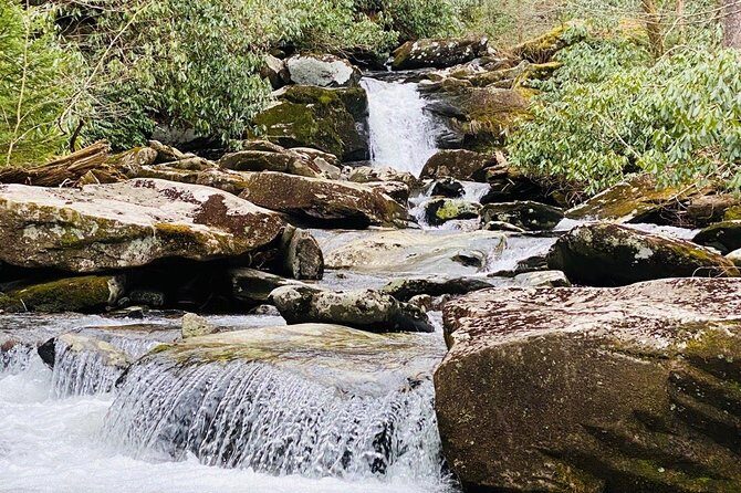 Thundering Streams and Falls of the Smokies Guided Hiking Tour - FAQ
