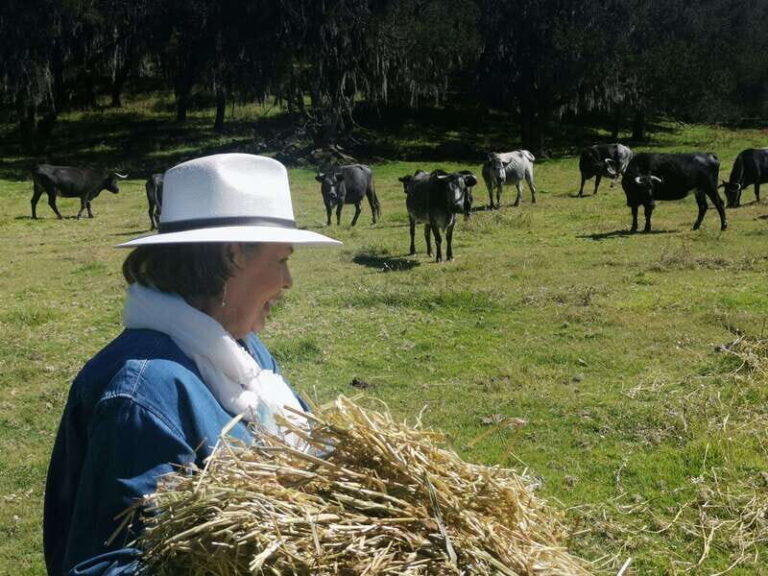 Tlaxcala Haciendas Tour - What to Expect on the Tour
