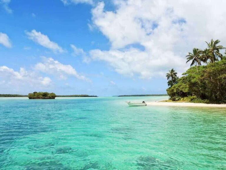 Tobago: Buccoo Reef Glass Bottom Boat Tour - The Experience in Detail