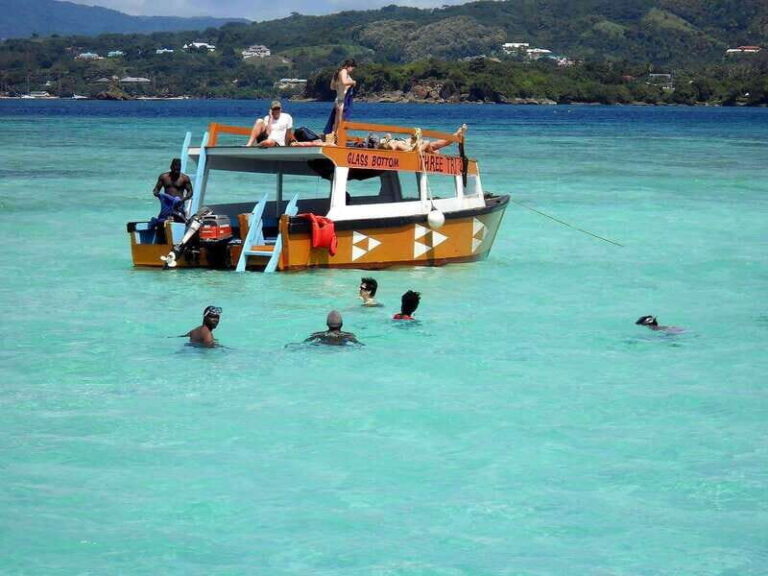 Tobago: Glass Bottom Boat & Highlights Tour - Practical Considerations