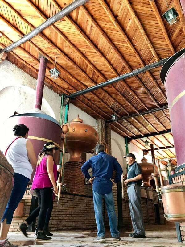 Tour "Parras de la Fuente", with guide, transfer and tickets - The Practical Aspects