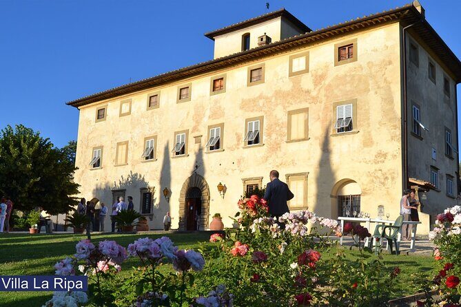Tour through the vineyards and wine and olive oil tasting in Tuscany - Who Would Enjoy This Tour?