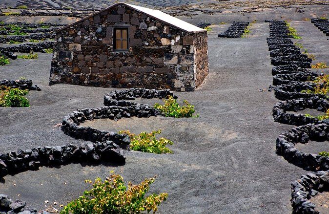 Tour to Timanfaya, La Geria and Laguna Verde for cruise passengers - Additional Highlights and Practical Details