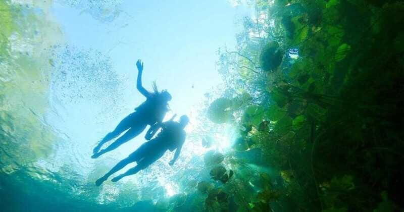 Tour Xenotes Oasis Maya - The Value of Tour Xenotes Oasis Maya