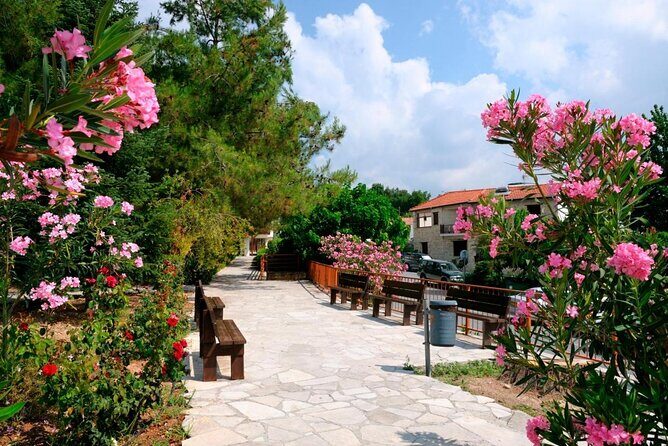 Troodos Mountains Villages: All Inclusive Food & Wine Day Tour - Key Points