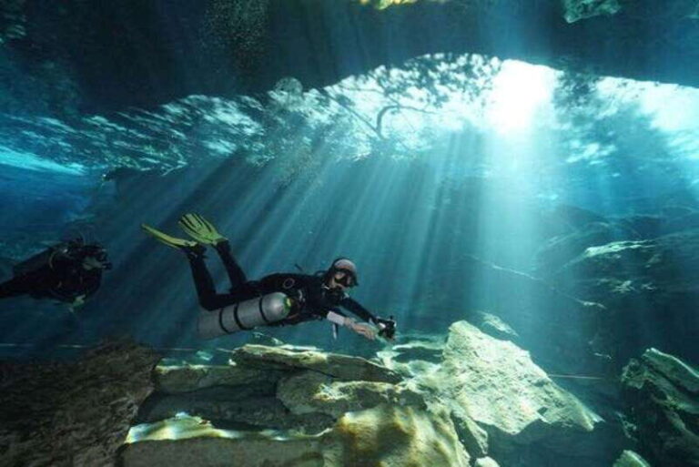 Tulum: 2 Dives in Chac Mool Cenote - What to Expect During Your Dives