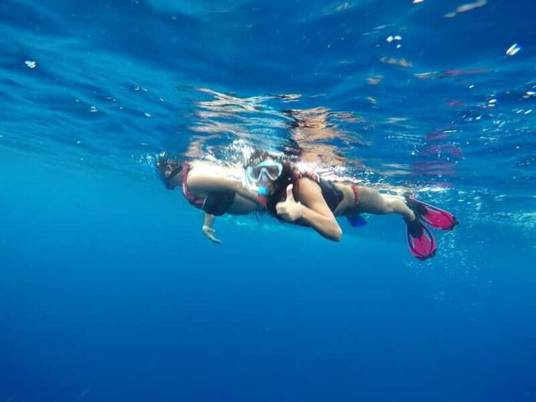 Tulum-Akumal: Swimming with Whale Sharks Tour - The Marine Park Fee and Whats Included