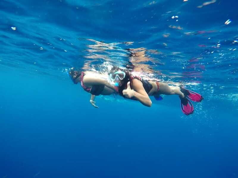 Tulum-Akumal: Swimming with Whale Sharks Tour - The Marine Park Fee and Whats Included