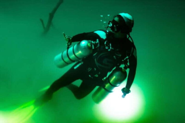 Tulum: Angelita & Carwash Cenotes Dive - Who Will Love This Tour?