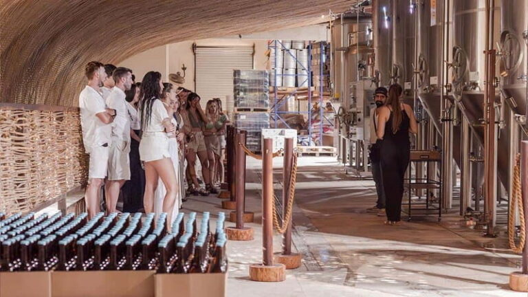 Tulum beer school, brews & bites and visit to beer fabric - Practical Details & Tips