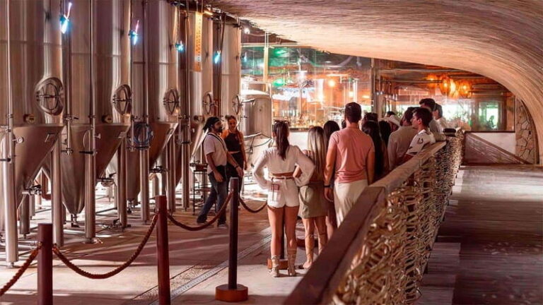Tulum Beer Tasting Brewery Tour Beer School & Transportation - The Itinerary Breakdown