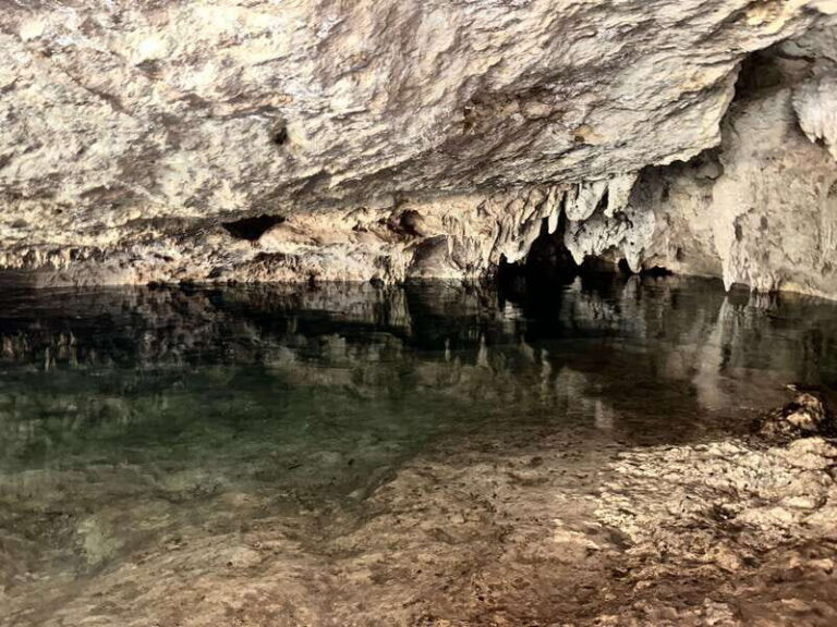 Tulum: Cenotes Tour with Snorkeling and Lunch - An In-Depth Look at the Cenotes Tour