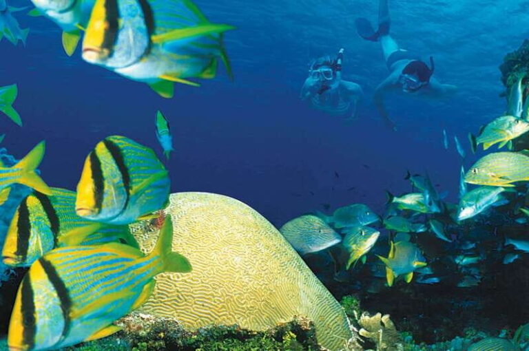 Tulum: Cozumel Cielo Adventure! Round Trip from Tulum City - Who Will Love This Tour?