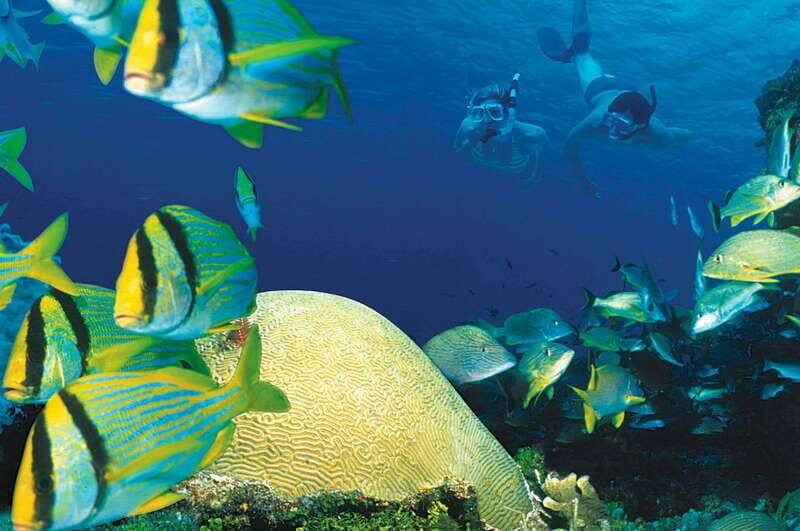 Tulum: Cozumel Cielo Adventure! Round Trip from Tulum City - Who Will Love This Tour?
