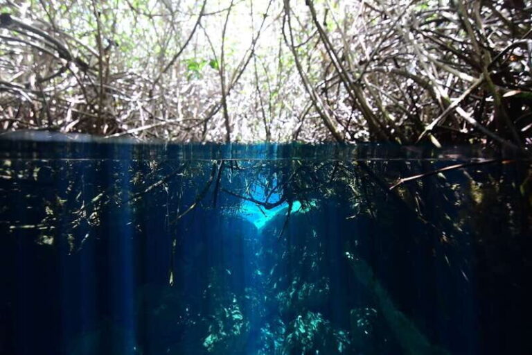 Tulum: Discover Scuba Diving in Cenotes - What Makes This Experience Special