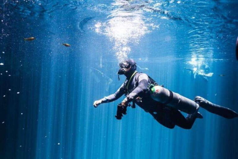 Tulum: Discover the Depths of Dos Ojos Cenote - The Sum Up
