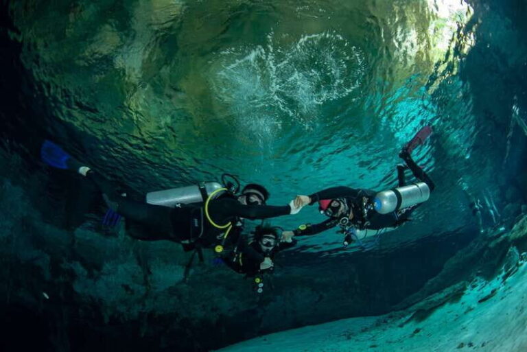 Tulum : Dos Ojos cenote 2 scuba dives (certified divers) - Who Should Book This Tour?