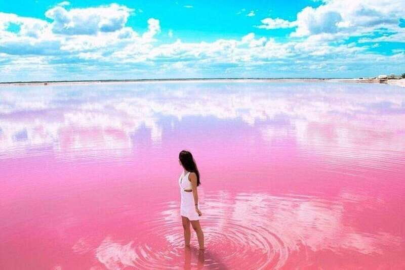 Tulum: Explore Las Coloradas & Rio Lagartos - The Highlights of This Tour