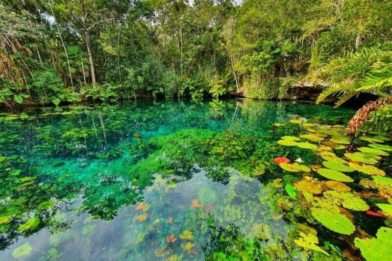 Tulum: Half-Day Adventure Zip line Cenote in Mayan Community - The Breakdown: What Makes Each Part Special