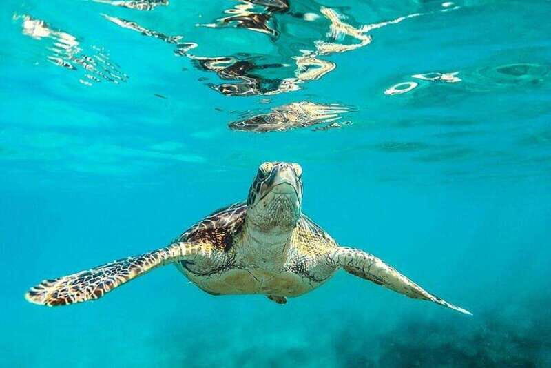 Tulum: Mayan Ruins and Snorkeling Adventure - Why Morning Is the Best Time