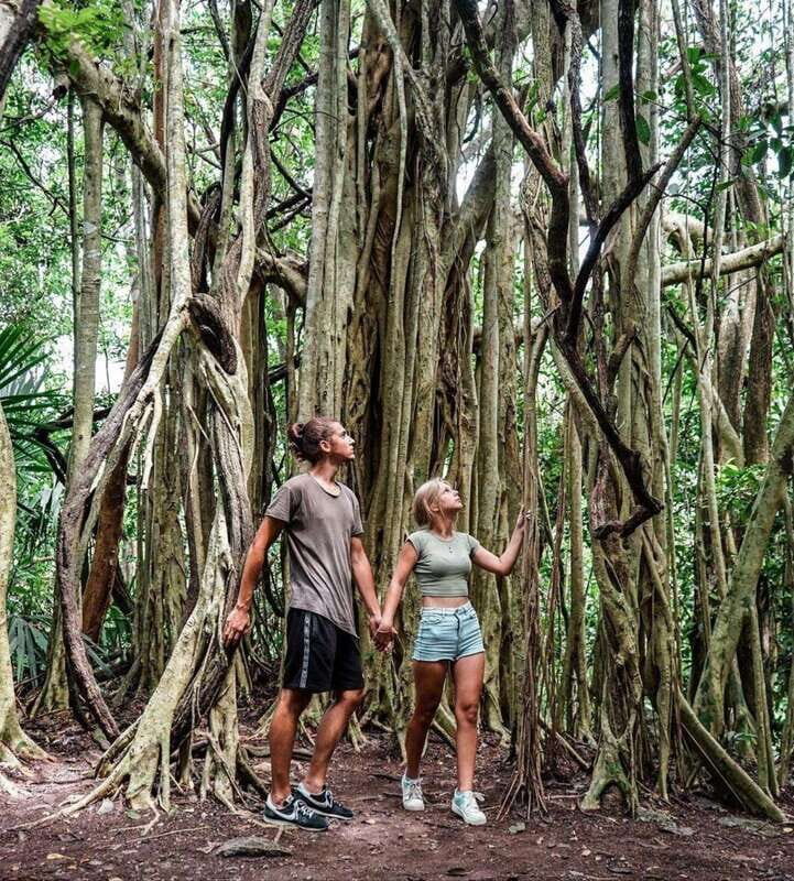 Tulum: Monkey Sanctuary Adventure - Who Will Love This Tour?