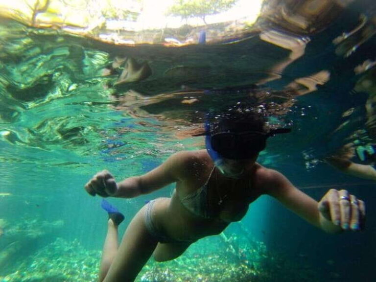Tulum: Ruins and Cenote Adventure - A Detailed Look at the Tulum: Ruins and Cenote Adventure