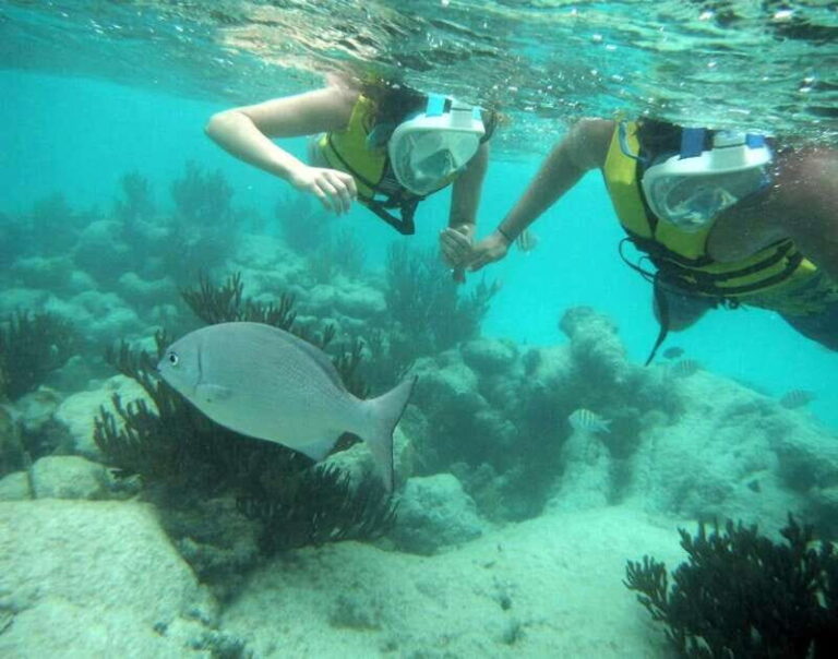 Tulum: Ruins, Cenote and Turtle Snorkel Day Trip with Lunch - A Day Well Spent: How The Itinerary Unfolds
