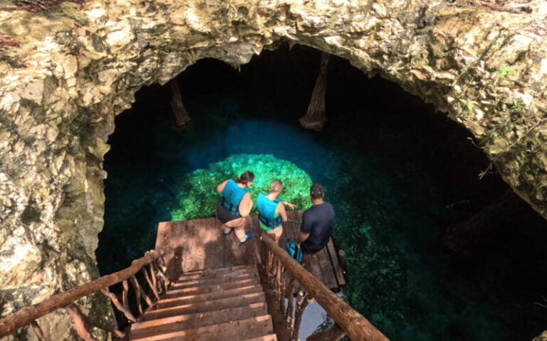 Tulum: Ruins, Cenotes, Turtle Swim, and Lunch Tour - Swimming with Sea Turtles: An Encounter in Akumal