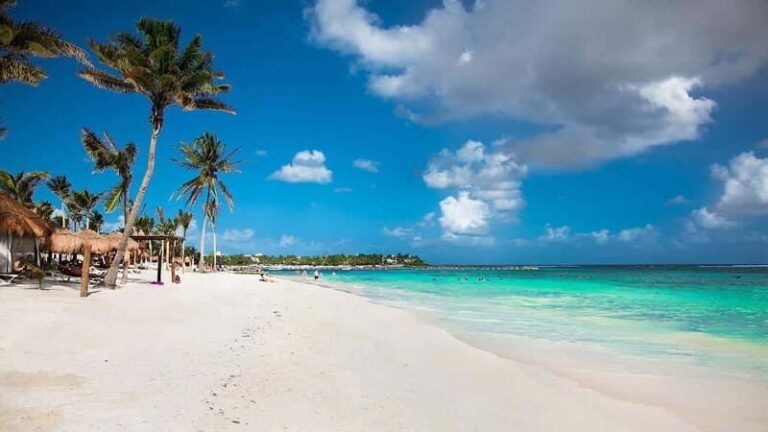 Tulum Ruins+ Turtles & Cenote &Lunch With Transportation) - What Reviewers Say About the Tour