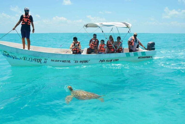 Tulum: SIAN KAAN biosphere Boat Tour, Dolphins, Snorkeling - The Value in the Details: What to Expect
