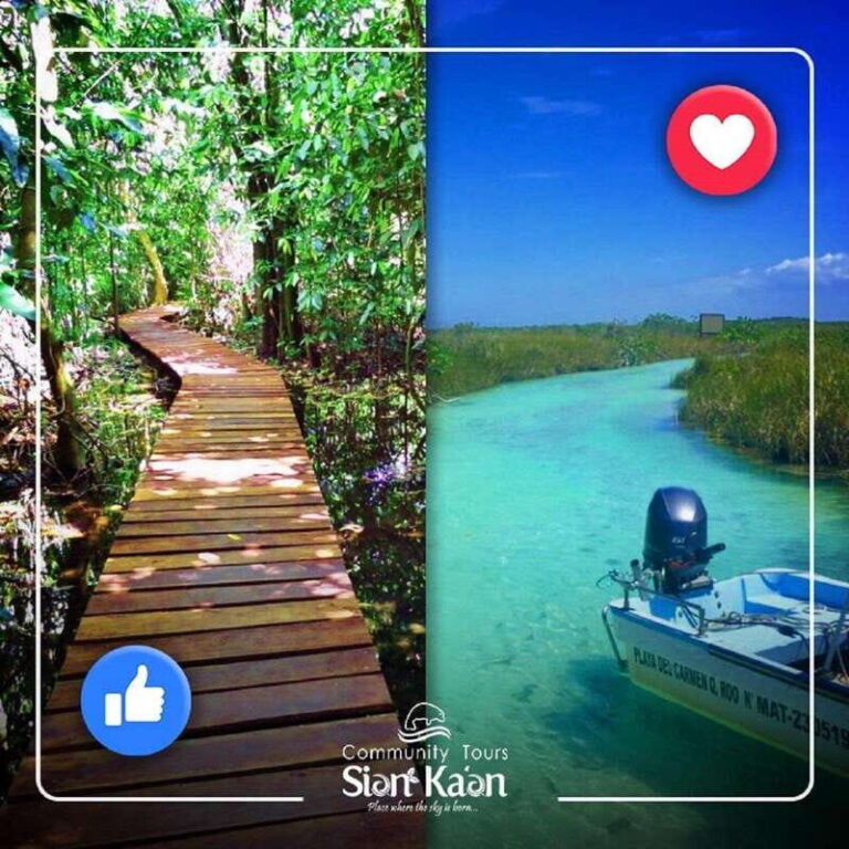 Tulum: Sian Ka'an Biosphere Reserve Ancient Maya Canals Tour - What to Expect from the Tour