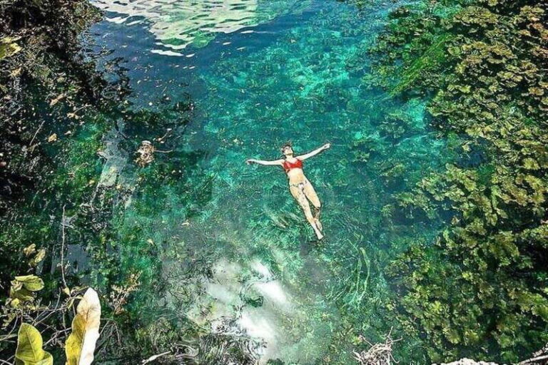 Tulum: Tankah Cenote Tour with Zipline and Mayan Lunch - What Does the Tour Really Feel Like?