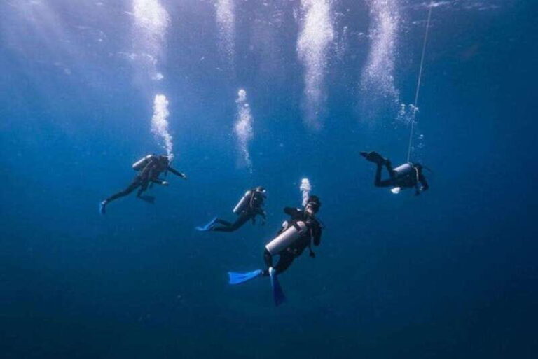 Tulum: Try Scuba Diving Adventure | Canote + Reef in Tulum - What to Expect from the Tulum Try Scuba Experience