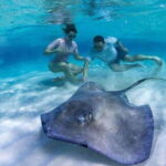 Tulum: Tulum Mayan Ruins and thrilling Reef snorkel - Detailed Breakdown of the Itinerary