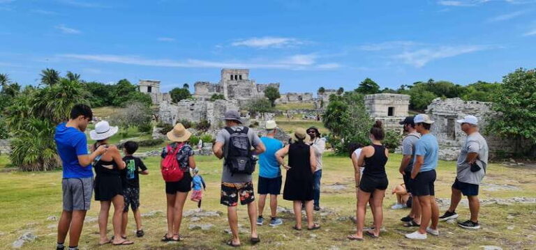 Tulum & Turtles Private Tour - Transportation & Comfort