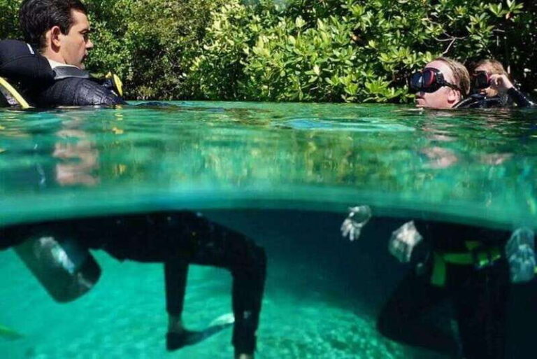 Tulum: Wonders of the Underwater World Discover Scuba Diving - What Makes This Tour Stand Out?