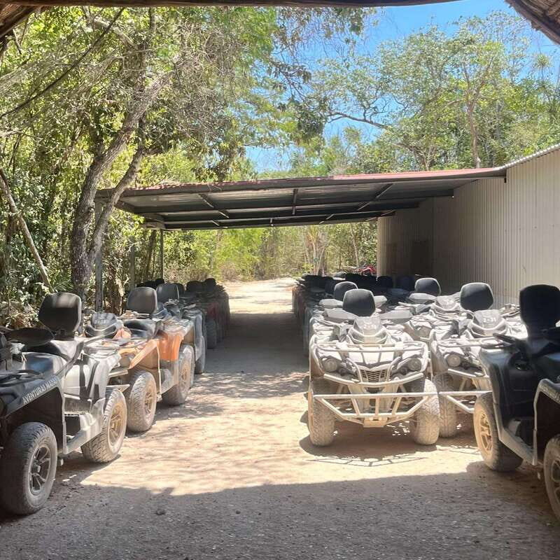 Tulum: Zipline Experience & Underground Cenote & Shared ATVS - What Makes This Tour Stand Out