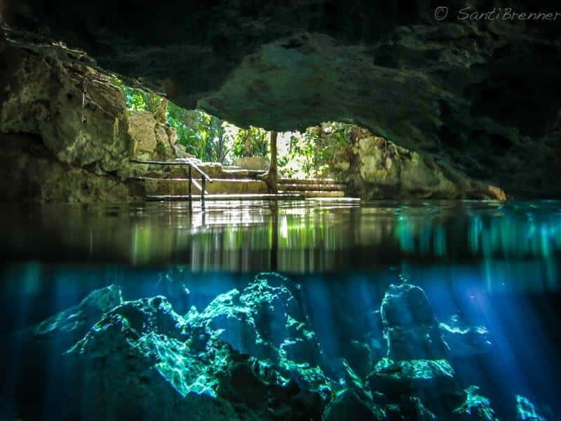 Turtles and Cenotes Tour - Authentic Experiences and Genuine Insights