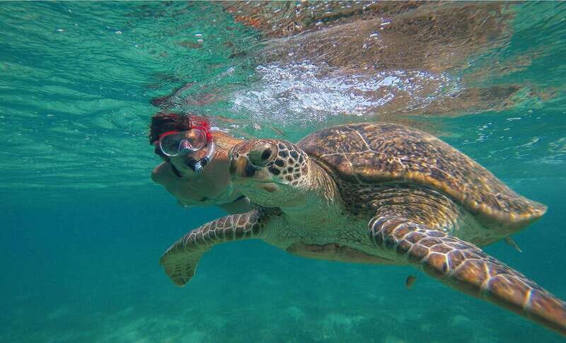 Turtles+ ATV & Cenote (transportation included) - The Authentic Experience: What Really Stands Out