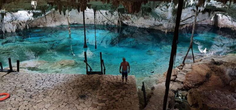Turtles & Cenotes Private Tour - Practical Details and Value