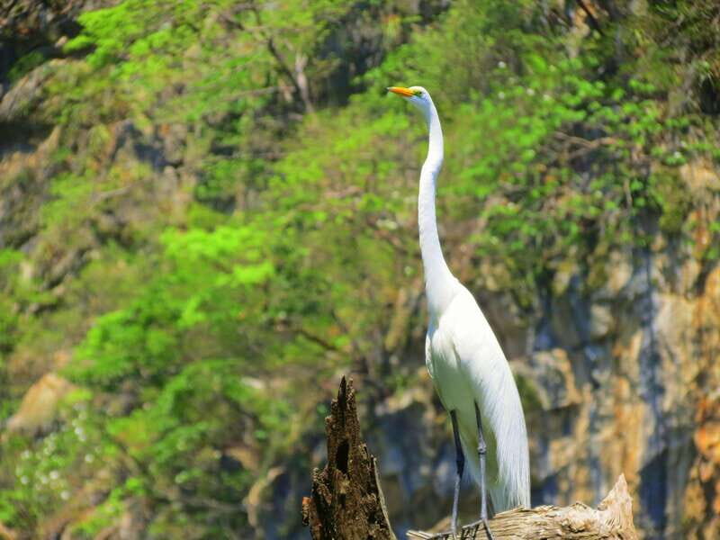 Tuxtla: Sumidero Canyon, San Juan Chamula & Zinacantán Tour - The Breakdown of the Itinerary