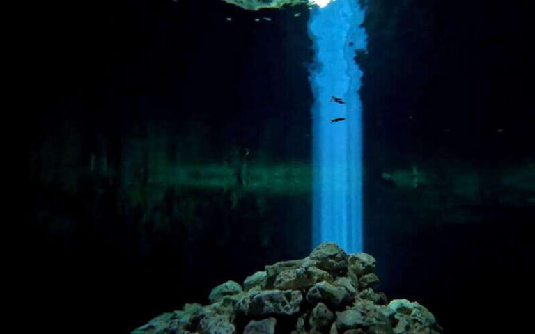 Two tank cavern dive (Cenote Dive) - What Makes the Cenote Dive Special