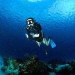 Underwater Museum Musa : Discover Scuba Diving Experience - The Value of the Tour