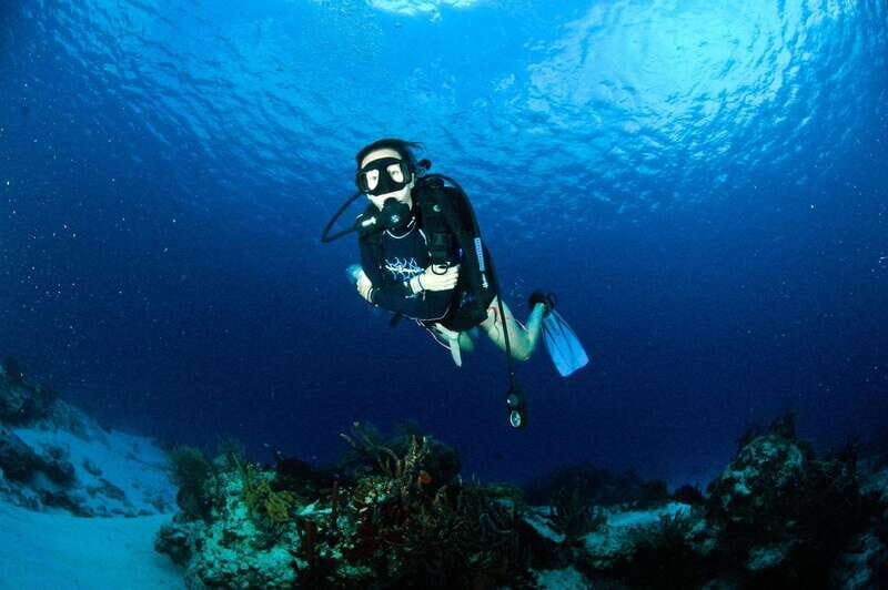 Underwater Museum Musa : Discover Scuba Diving Experience - The Value of the Tour