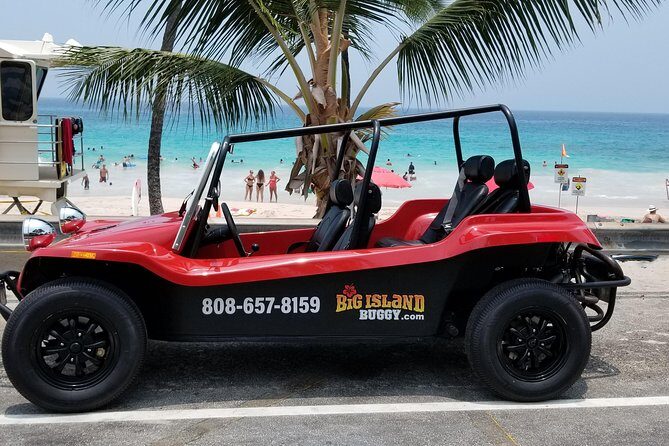 Unique Buggy Rental on the Big Island, Hawaii - Final Thoughts: Is It Worth It?