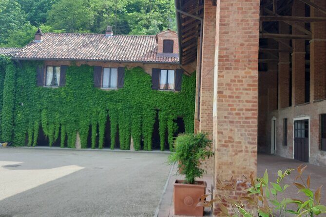 Unique wine tasting at Winery Marchesi Incisa della Rocchetta - Highlights and Unique Features
