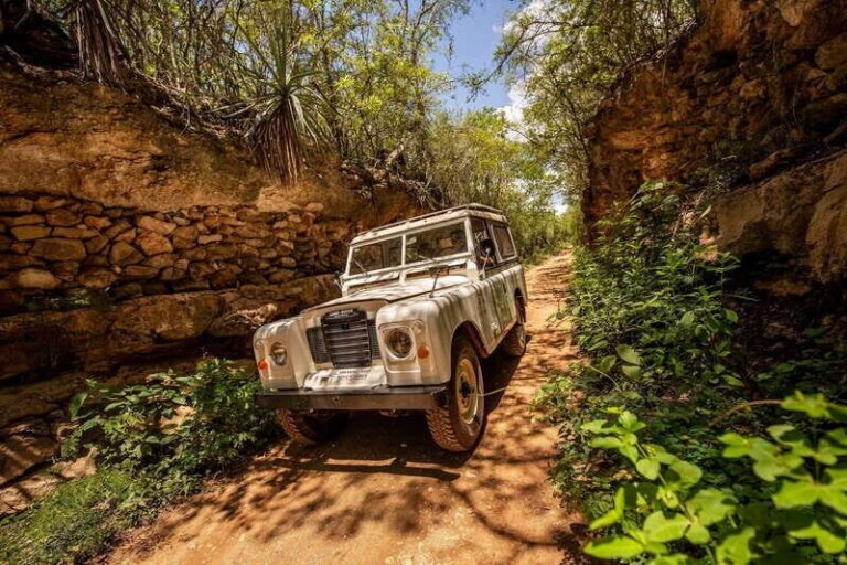 Uxmal: Vintage Land Rover Expedition to Uxmal Cenotes - Authentic Wildlife Encounters and Scenic Landscapes