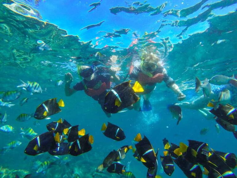 Vallarta: Yelapa Waterfall & Majahuitas Snorkel Adventure - The Itinerary in Detail