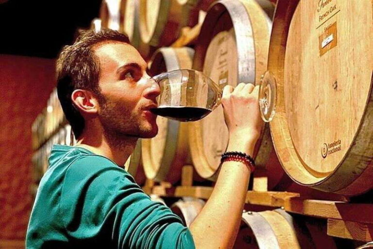Valle de Guadalupe: Wine Tasting and Carriage Tour - Who Will Love This Tour?