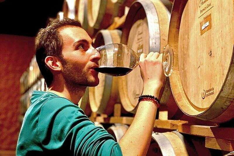 Valle de Guadalupe: Wine Tasting and Carriage Tour - Who Will Love This Tour?